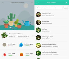 HHCC Xiaomi 4 in 1 Plant Flower Care Smart Monitor Awesome Imports